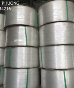 Dây đai nguyên sinh