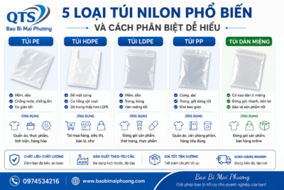 ChatGPT Image 13_47_53 24 thg 8, 2026