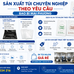 ChatGPT Image 15_47_30 24 thg 8, 2026